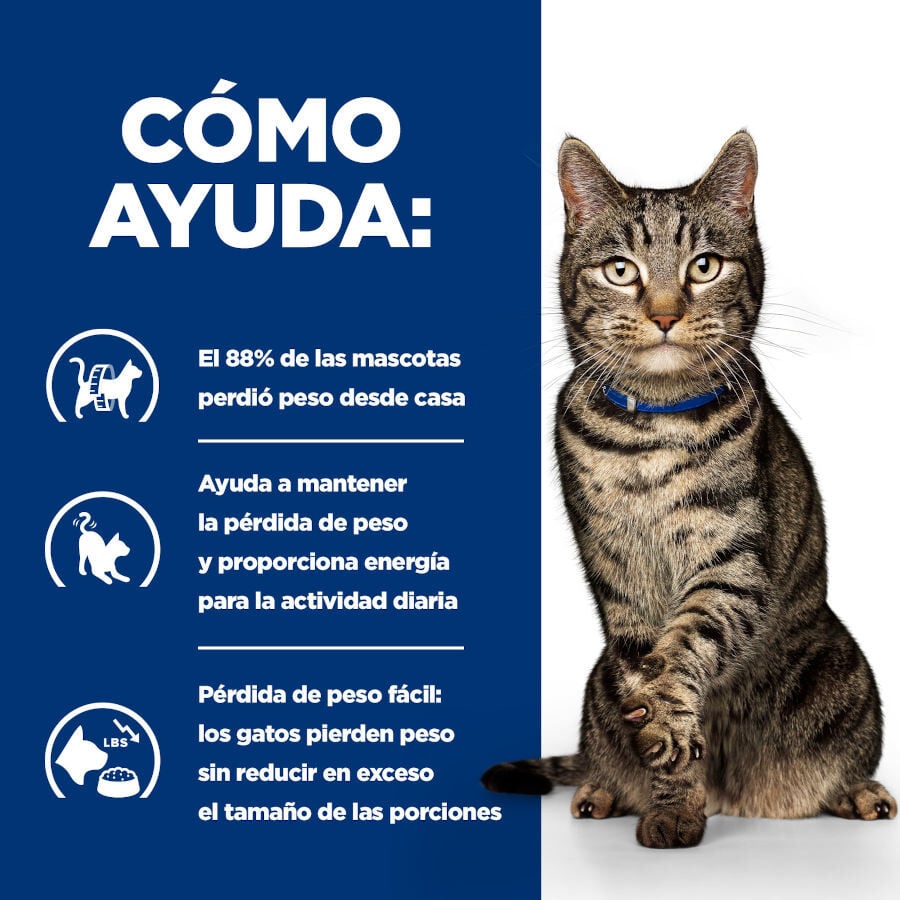 82 g Hill's Prescription Diet Metabolic Estofado de Pollo y Vegetales lata para gatos, , large Imagen numero 4